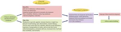 Critical assessment of wheat biofortification for iron and zinc: a comprehensive review of conceptualization, trends, approaches, bioavailability, health impact, and policy framework